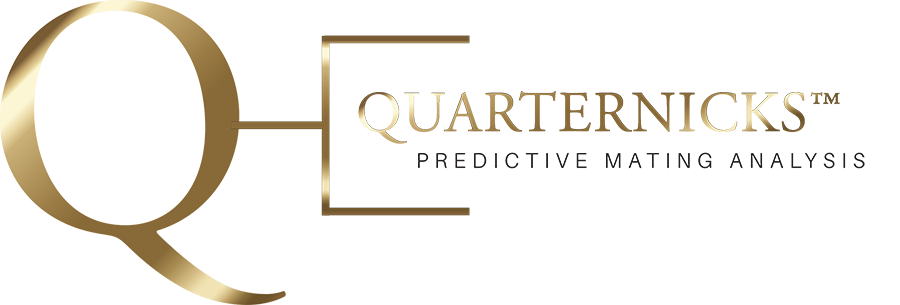 Quarter Horse Pedigree analysis logo for Quarternicks