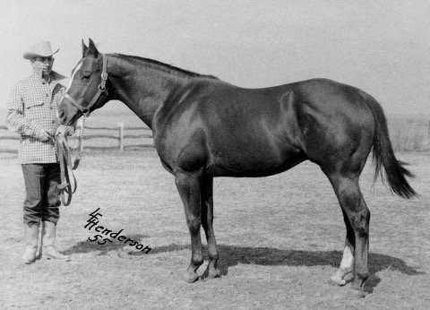 Sugar Bars, a prominent Quarter Horse, with handler at age 4