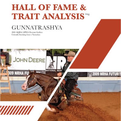 Quarternicks Hall of Fame and Trait Analysis™ cover featuring horse's registered name, sire and dam, and photo of the horse.