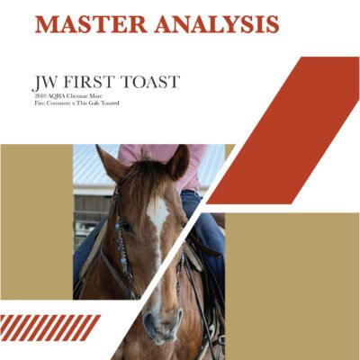 Quarternicks Master Analysis Report cover with text featuring horse's registered name, sire and dam, and a photo of the horse.
