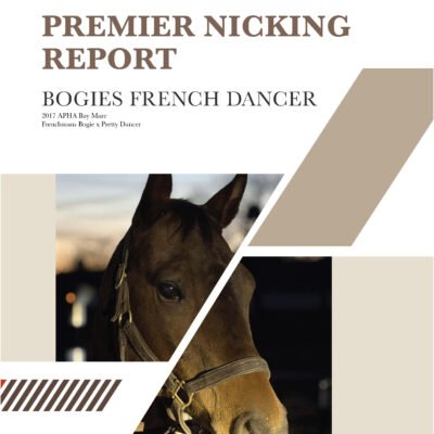 Quarternicks Premier Nicking Report cover with text featuring horse's registered name, sire and dam, and a photo of the horse.