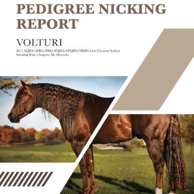 Quarter Horse pedigree analysis