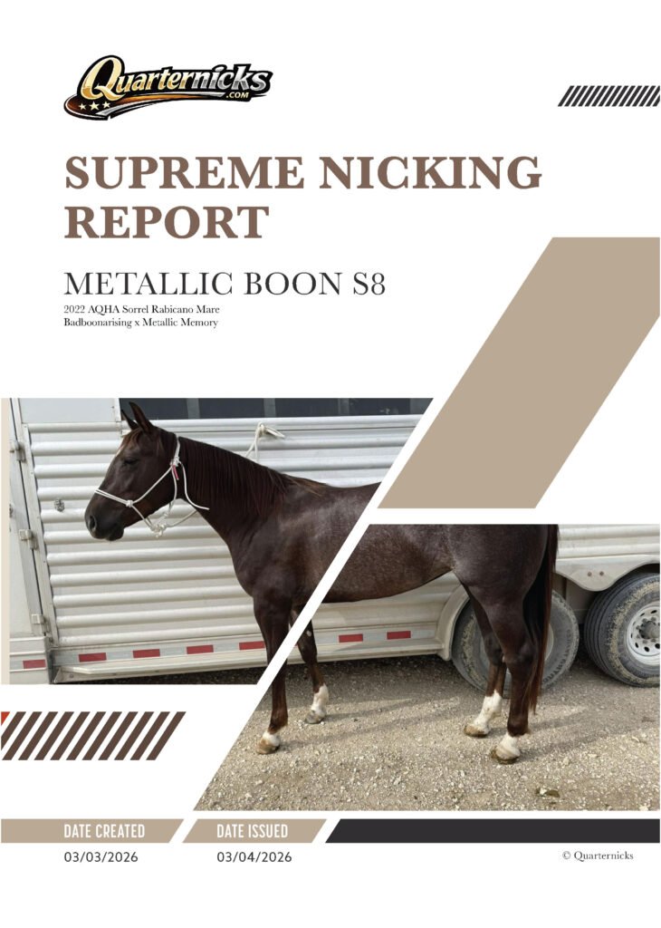 Quarternicks Supreme Nicking Report cover with text featuring horse's registered name, sire and dam, and a photo of the horse.